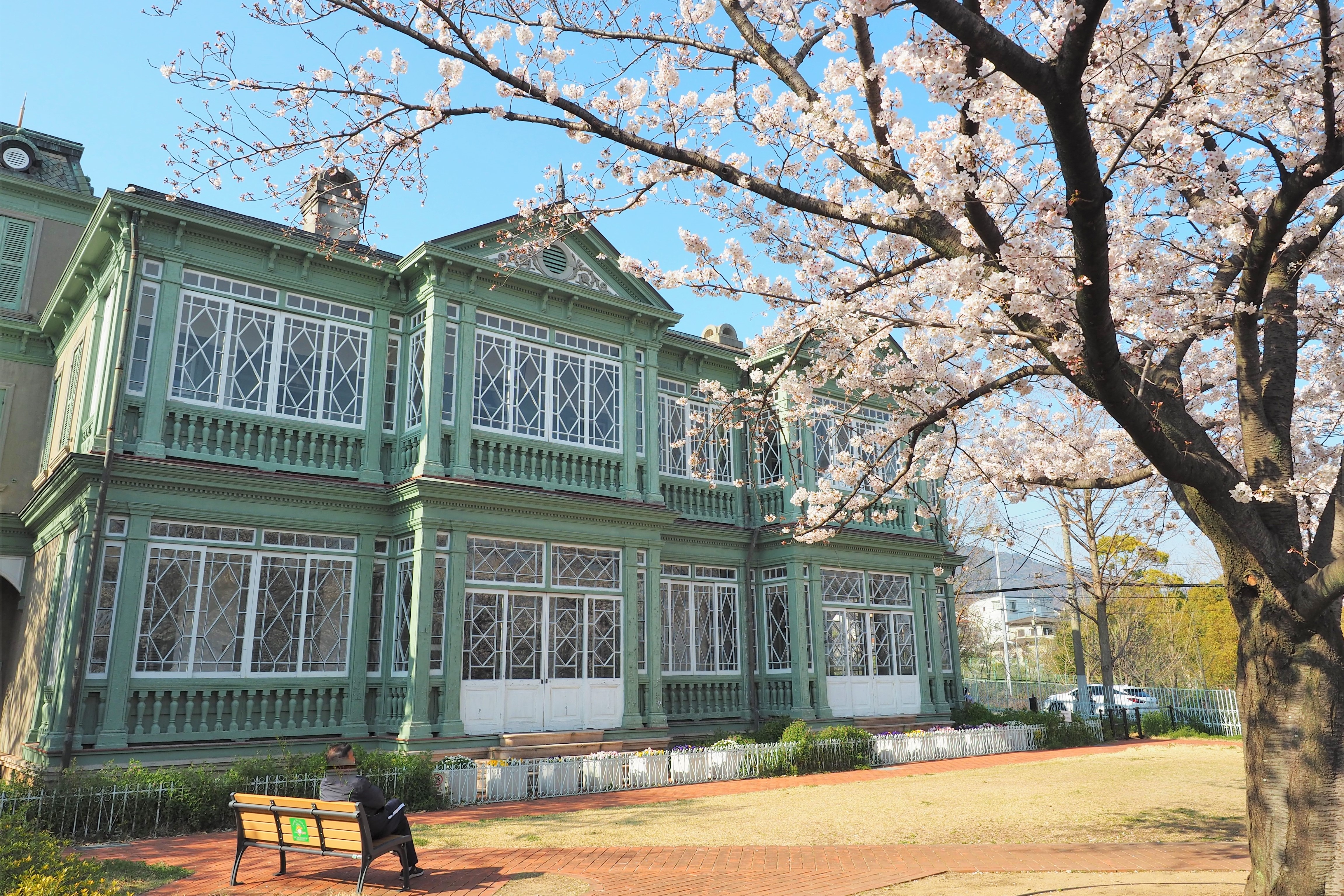 王子動物園 旧ハンター住宅 桜