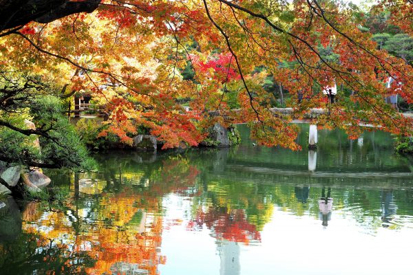 相楽園／紅葉