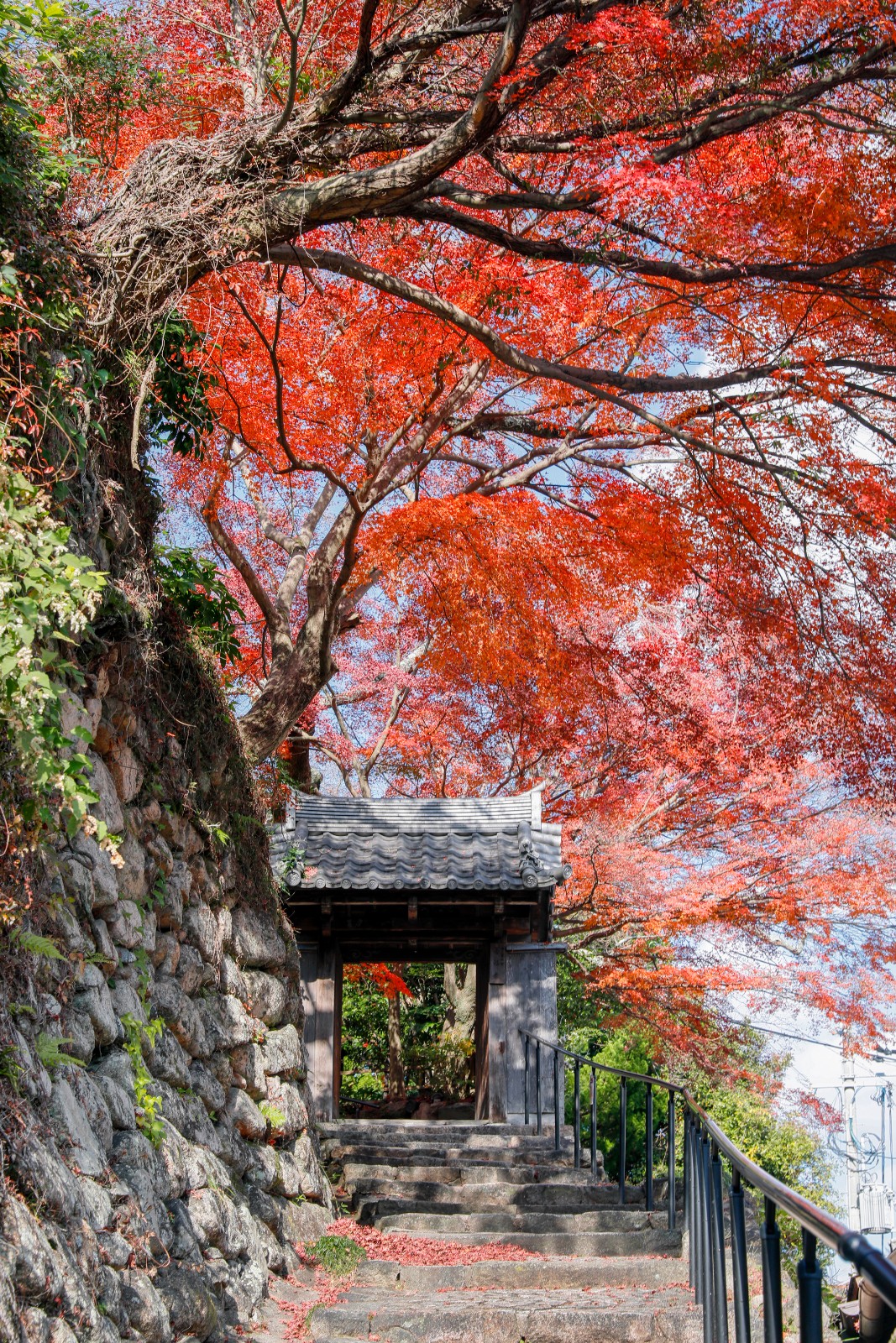 善福寺