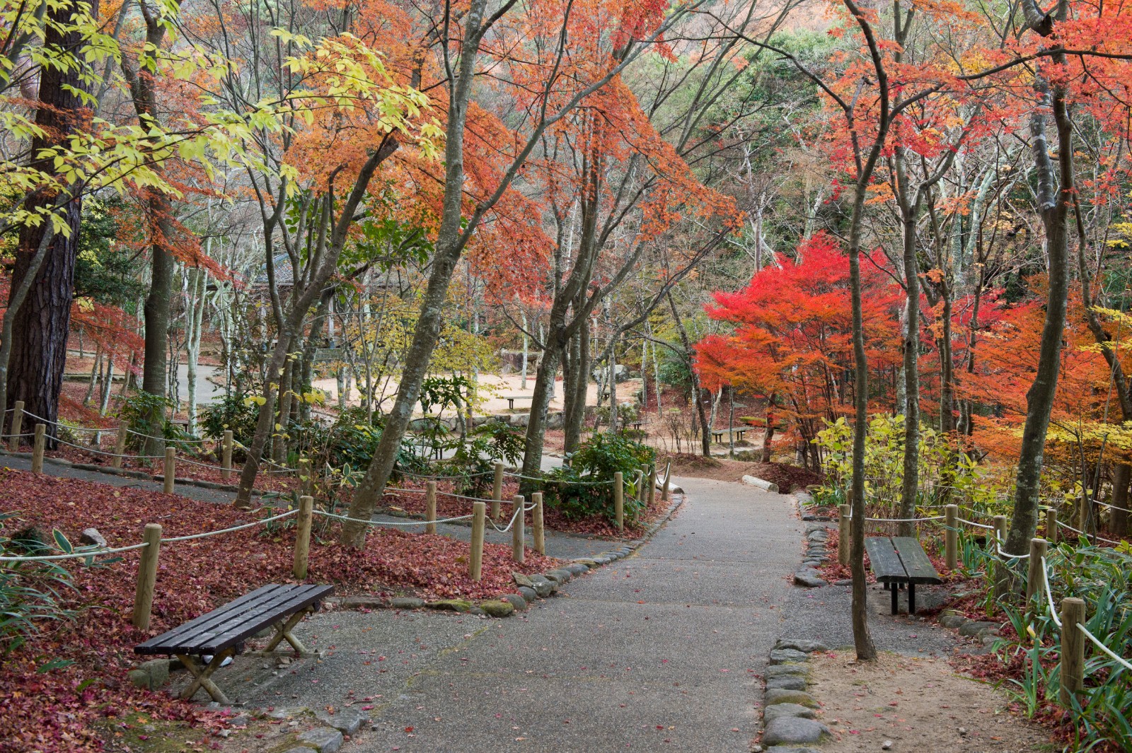 瑞宝寺公園