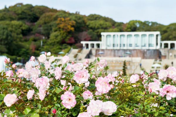 須磨離宮公園