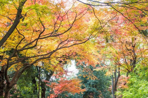 須磨離宮公園