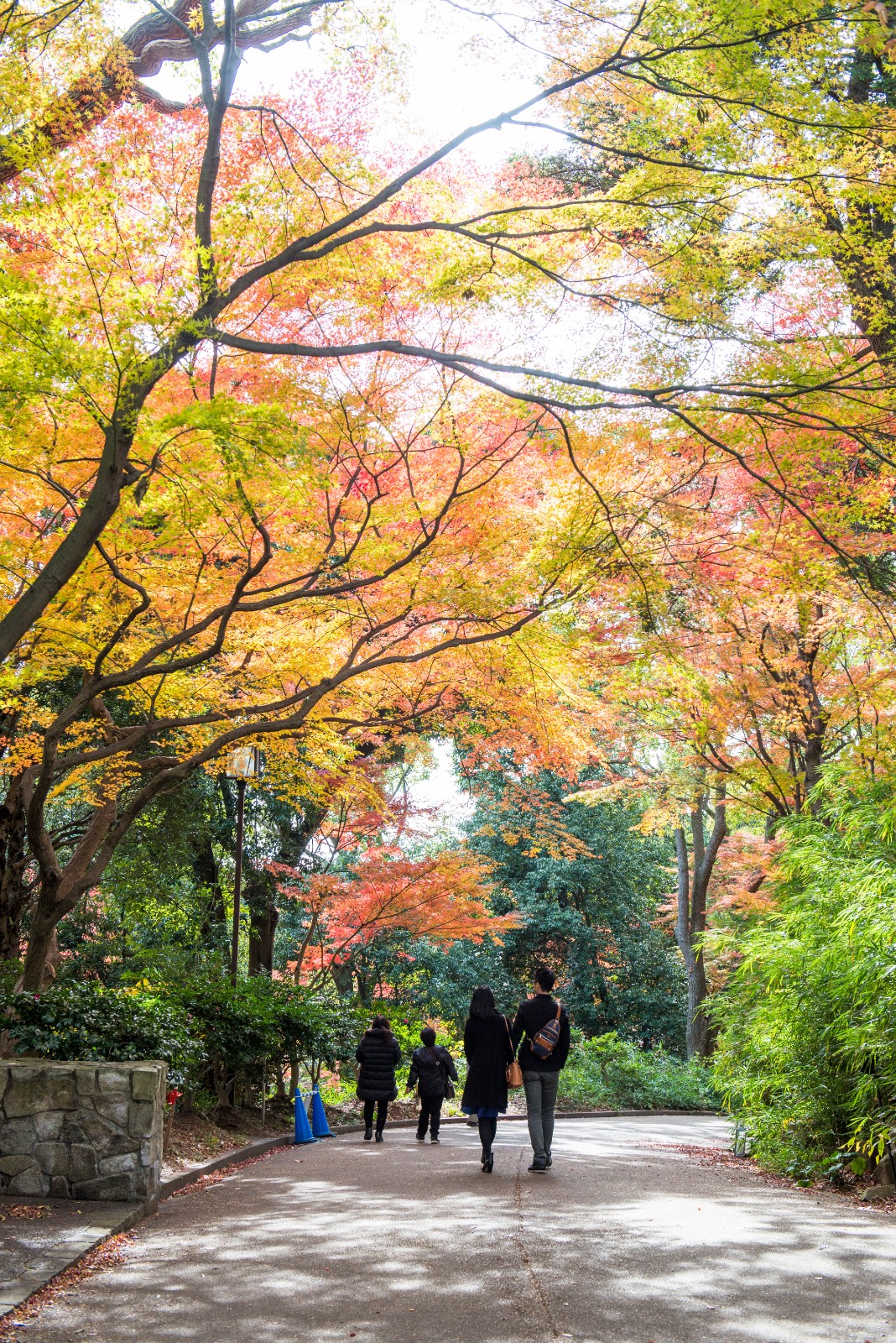 須磨離宮公園