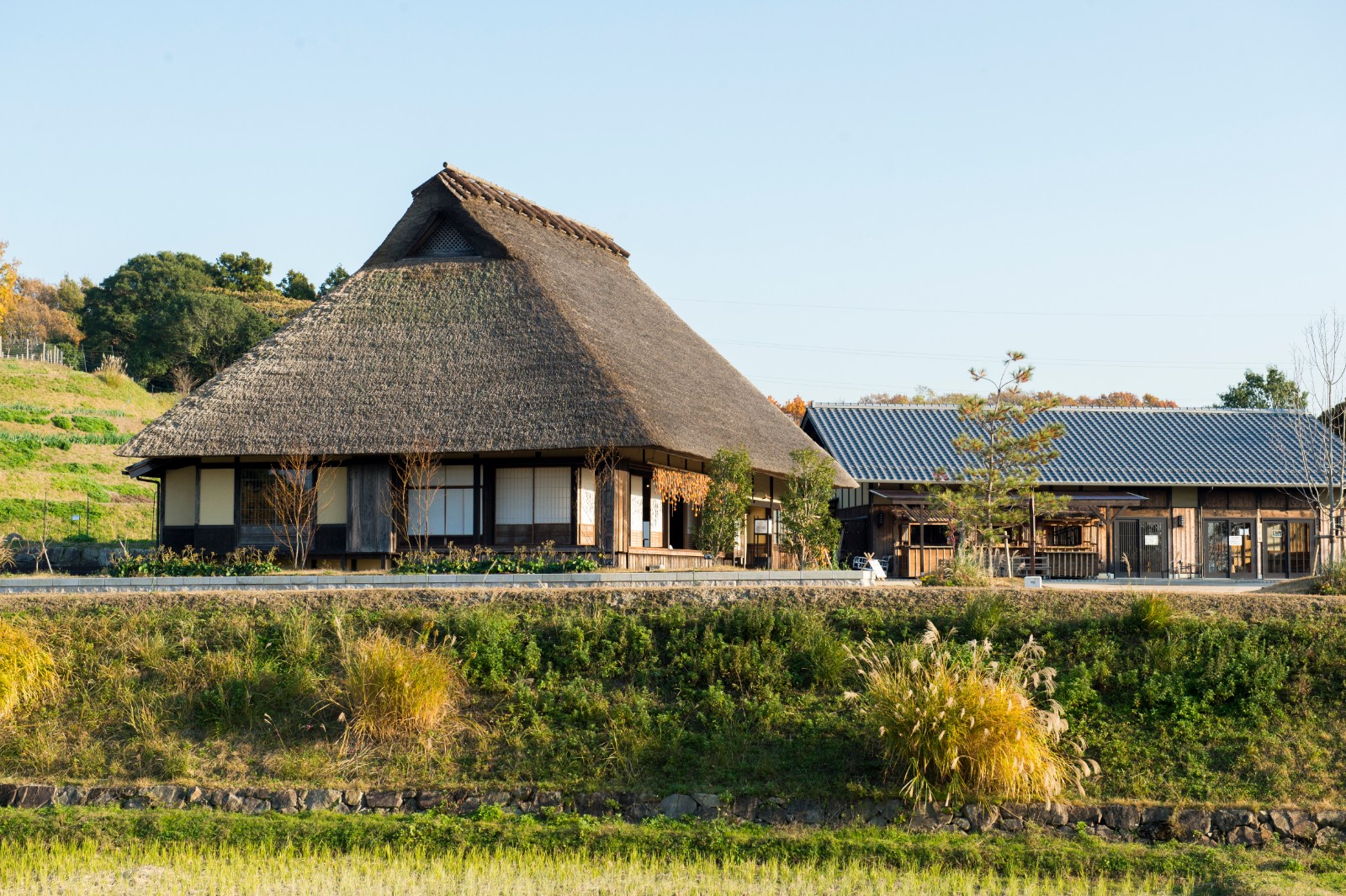 あいな里山公園