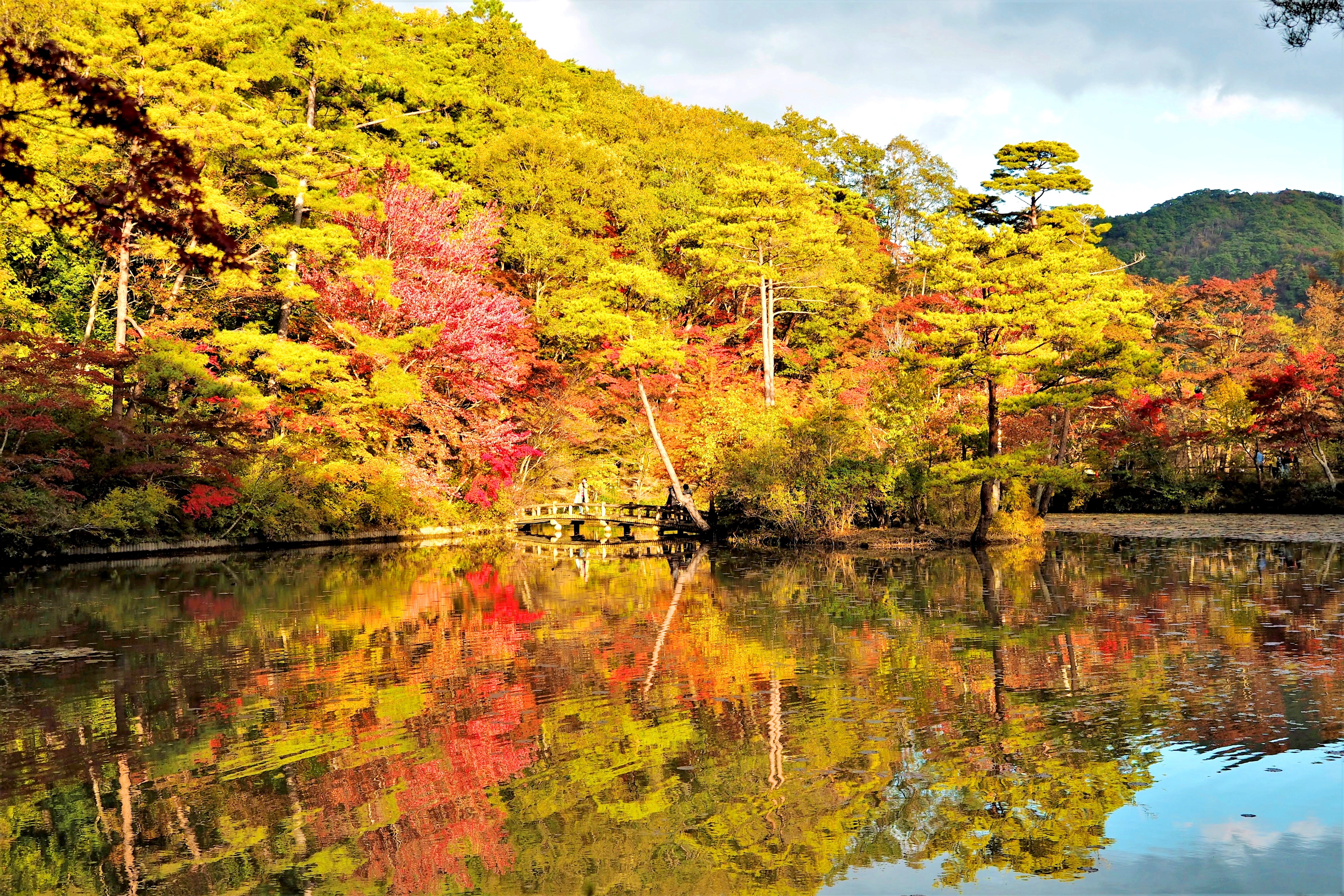 神戸市立森林植物園