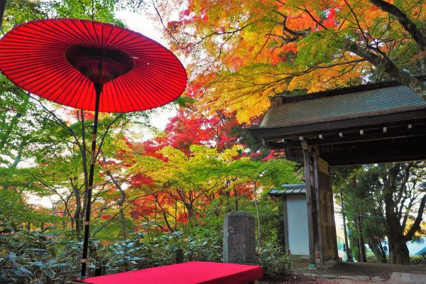 瑞宝寺公園の紅葉